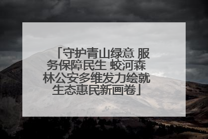 守护青山绿意 服务保障民生 蛟河森林公安多维发力绘就生态惠民新画卷