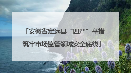 安徽省定远县“四严”举措筑牢市场监管领域安全底线