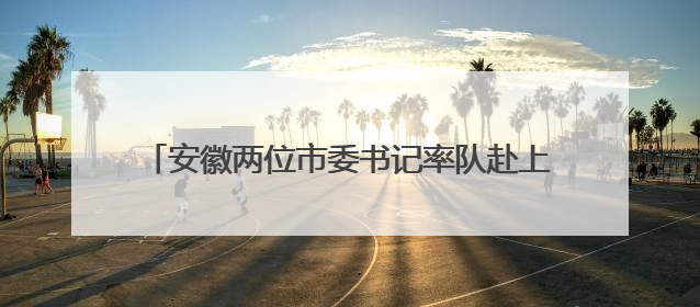 安徽两位市委书记率队赴上海考察，去了哪些企业？