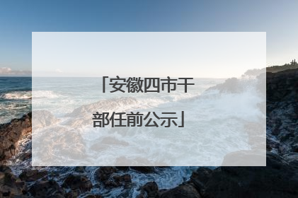 安徽四市干部任前公示