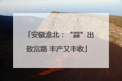 安徽淮北：“蒜”出致富路 丰产又丰收