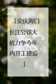安庆海口长江公铁大桥力争今年内开工建设