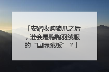 安踏收购狼爪之后，谁会是鸭鸭羽绒服的“国际跳板”？