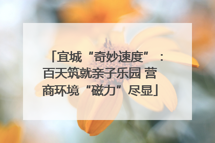 宜城“奇妙速度”：百天筑就亲子乐园 营商环境“磁力”尽显