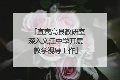 宜宾高县教研室深入文江中学开展教学视导工作