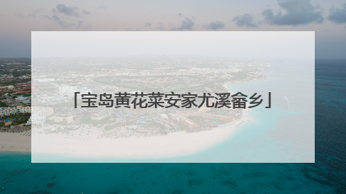 宝岛黄花菜安家尤溪畲乡