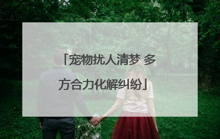 宠物扰人清梦 多方合力化解纠纷