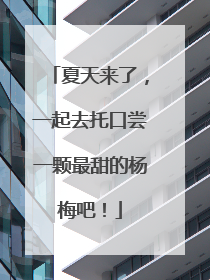 夏天来了，一起去托口尝一颗最甜的杨梅吧！