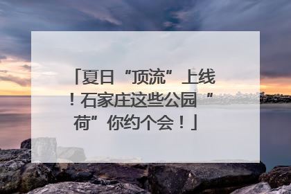 夏日“顶流”上线！石家庄这些公园“荷”你约个会！