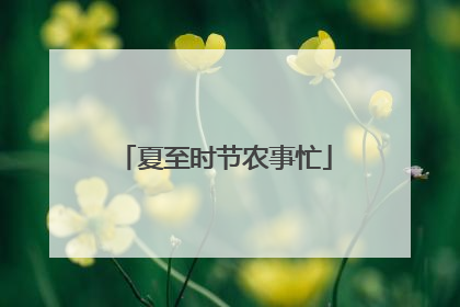 夏至时节农事忙