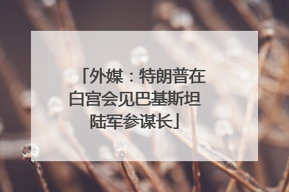 外媒：特朗普在白宫会见巴基斯坦陆军参谋长