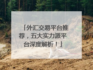 外汇交易平台推荐，五大实力派平台深度解析！