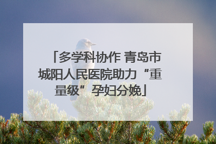 多学科协作 青岛市城阳人民医院助力“重量级”孕妇分娩