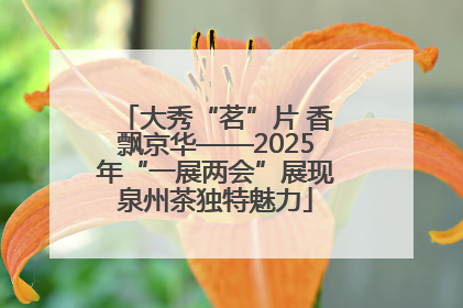 大秀“茗”片 香飘京华——2025年“一展两会”展现泉州茶独特魅力