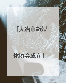 大冶市新媒体协会成立
