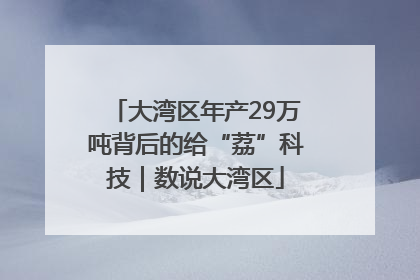 大湾区年产29万吨背后的给“荔”科技｜数说大湾区