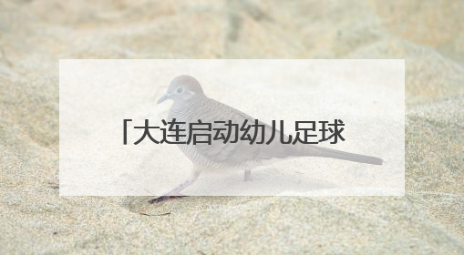 大连启动幼儿足球启蒙教育推广活动