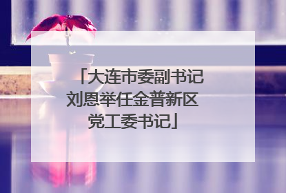 大连市委副书记刘恩举任金普新区党工委书记
