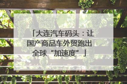 大连汽车码头：让国产商品车外贸跑出全球“加速度”