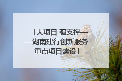 大项目 强支撑——湖南建行创新服务重点项目建设