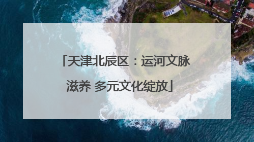 天津北辰区：运河文脉滋养 多元文化绽放