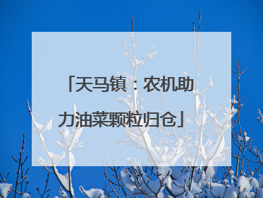 天马镇：农机助力油菜颗粒归仓