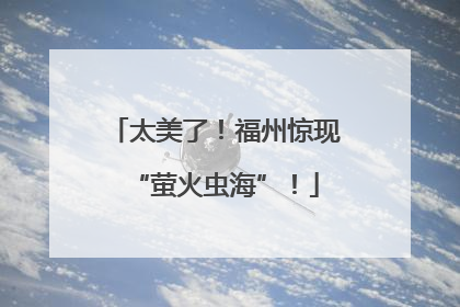 太美了！福州惊现“萤火虫海”！
