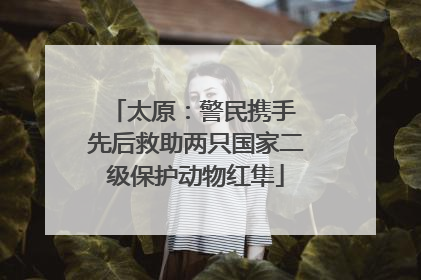 太原：警民携手 先后救助两只国家二级保护动物红隼