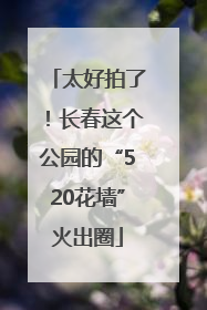 太好拍了！长春这个公园的“520花墙”火出圈