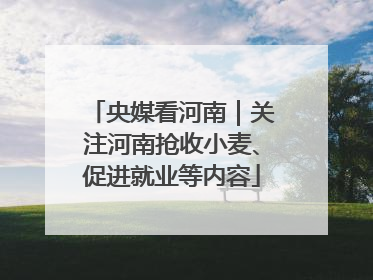 央媒看河南｜关注河南抢收小麦、促进就业等内容