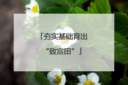 夯实基础育出“致富田”