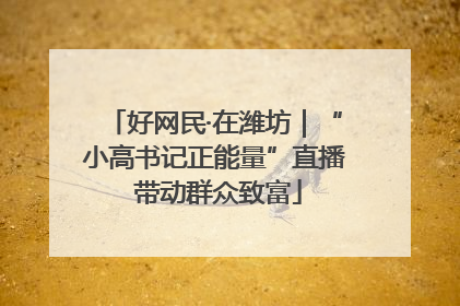 好网民·在潍坊｜“小高书记正能量”直播 带动群众致富