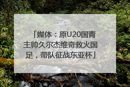 媒体：原U20国青主帅久尔杰维奇救火国足，带队征战东亚杯