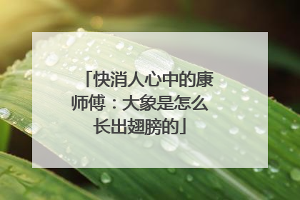 快消人心中的康师傅：大象是怎么长出翅膀的