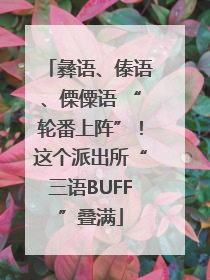 彝语、傣语、傈僳语 “轮番上阵”！这个派出所“三语BUFF”叠满