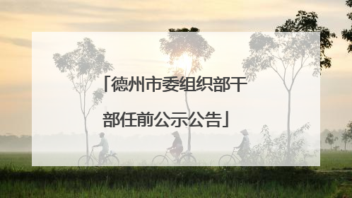 德州市委组织部干部任前公示公告