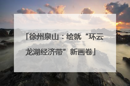 徐州泉山：绘就“环云龙湖经济带”新画卷
