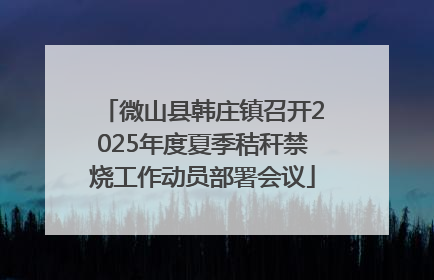 微山县韩庄镇召开2025年度夏季秸秆禁烧工作动员部署会议