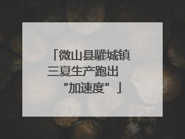 微山县驩城镇三夏生产跑出 “加速度”