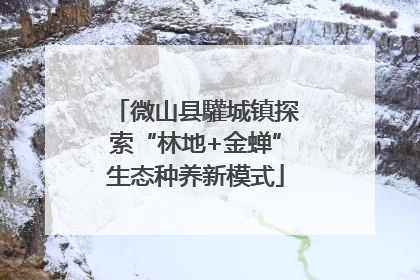 微山县驩城镇探索“林地+金蝉”生态种养新模式