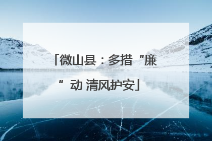 微山县：多措“廉”动 清风护安