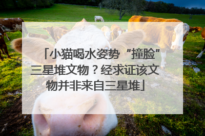 小猫喝水姿势“撞脸”三星堆文物？经求证该文物并非来自三星堆