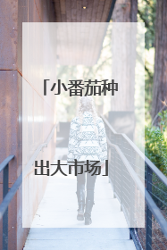 小番茄种出大市场