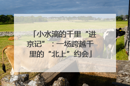 小水滴的千里“进京记”：一场跨越千里的“北上”约会