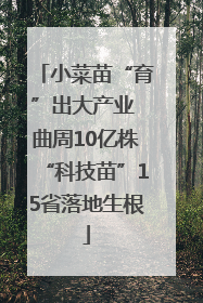 小菜苗“育”出大产业 曲周10亿株“科技苗”15省落地生根