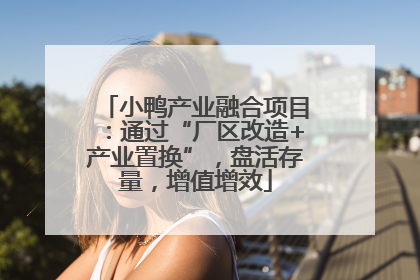 小鸭产业融合项目：通过“厂区改造+产业置换”，盘活存量，增值增效