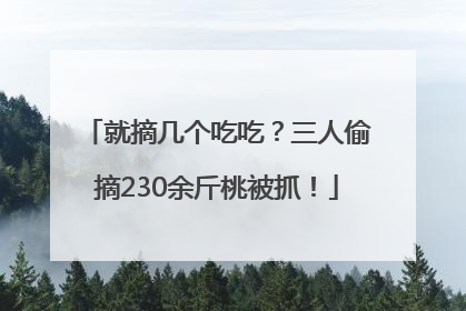 就摘几个吃吃？三人偷摘230余斤桃被抓！