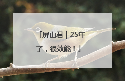 屏山君｜25年了，很效能！
