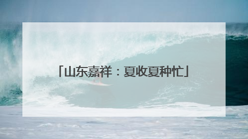 山东嘉祥：夏收夏种忙