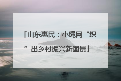 山东惠民：小绳网“织”出乡村振兴新图景